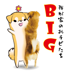 パグ Lineクリエイターズスタンプまとめ Stamplist パグ Lineクリエイターズスタンプまとめ Stamplist