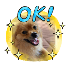 ayumi_20210911190125