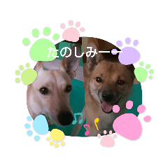 tomomi_20210917105430