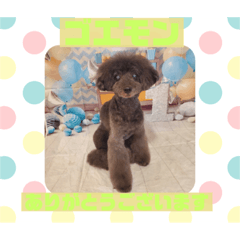 HappyBathPepのお友達　F