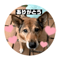 nora_20210911200736