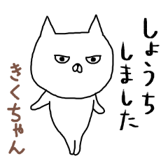 Kikuchan cat
