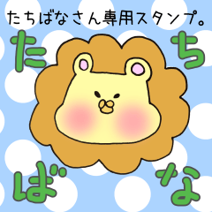 Mr.Tachibana,exclusive Sticker