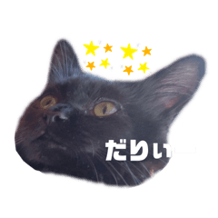 nanana_20210917144246
