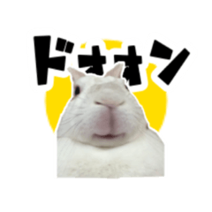 ponchan_s