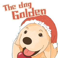 The dog : Golden Retriever