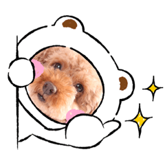 tommy_20210917153811