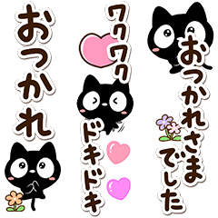 Very cute black cat (BIG2)