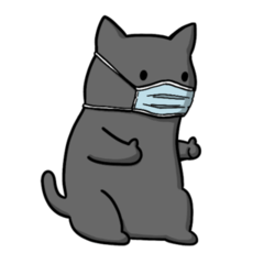 Card Playing Grey Cat 3