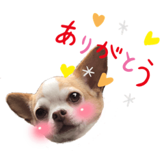 Michiko_20210911210308