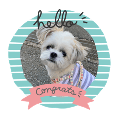 yukari_20210911212750