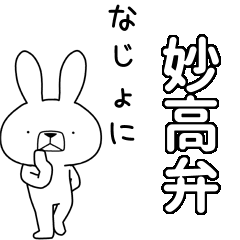 BIG Dialect rabbit[myoko]