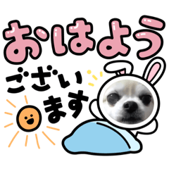 aoi_20210917191202
