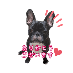 alice_20210911210739