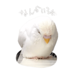 Smile_20210911211953