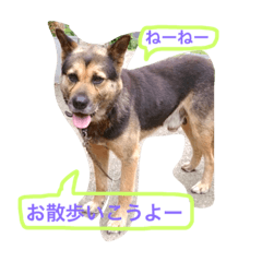 kuro chan stamp 2