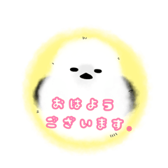 ringo_20210917204839