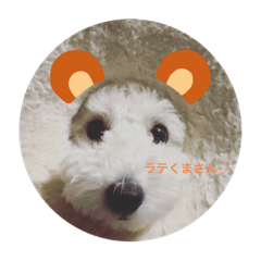 Chihiro_20210911174917