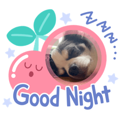 Chibi_20210917135323
