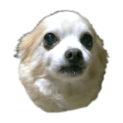 roll_20210918000556