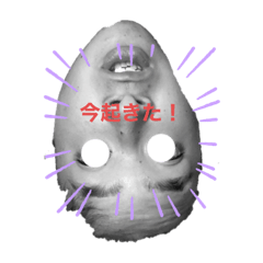 napi_20210911215438