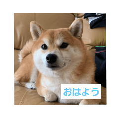 puku_20210911215631