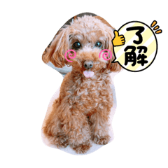 Rina_20210911223124