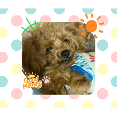 YUKARI_20210911233048