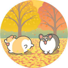 Autumn corgi animation sticker2