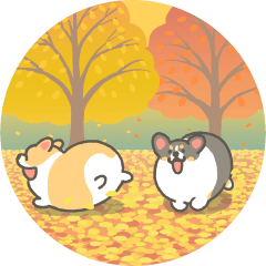 Autumn corgi animation sticker2