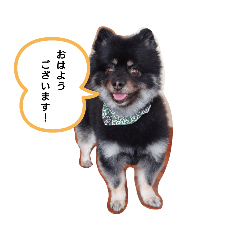 mizuki_20210912072140