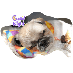 cherry_20210917202427