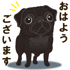 気軽に黒パグ 日常編 - LINE スタンプ | LINE STORE 気軽に黒パグ 日常編 - LINE スタンプ | LINE STORE