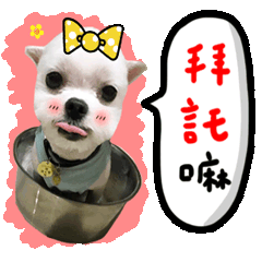 黃吉吉的無聊日子