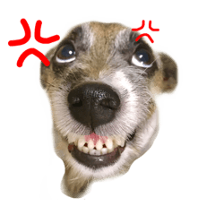 MIZUKI_20210912043636