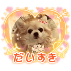miki_20210918141748
