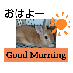 うさぎくんスタンプ3