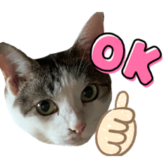 emily_20210912120428