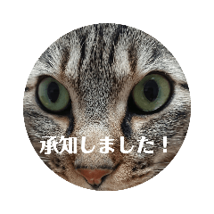 asuka_20210912130521