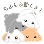 move! hold rabbits
