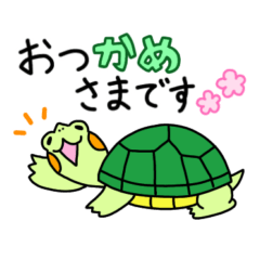 Pretty turtle Midori-chan! (Honorific)