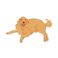 犬が落ちてる