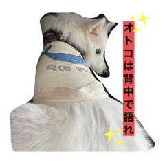 kohakuchannonichijyo1