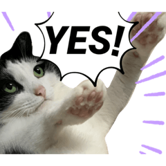 asuka_20210918173550