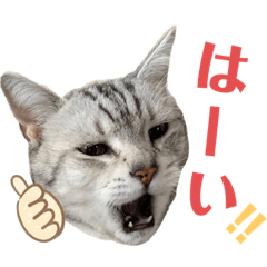 emily_20210912161249