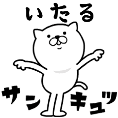 Pretty kitten ITARU Sticker [MOVE]