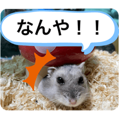 omochi_20210917225139
