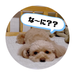 Hikari_20210912170252