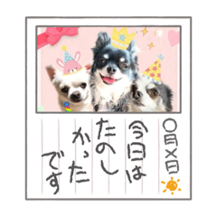 miki_20210918205004