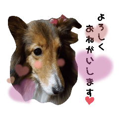 Chibi_20210918210725